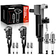 APIC0689 9-Piece Kit Black Ignition Coil and Iridium Spark Plug Kits