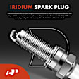 APIC0770 12-Piece Kit Ignition Coil and Iridium Spark Plug Kits
