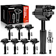 APIC0813 16-Piece Kit Ignition Coil and Iridium Spark Plug Kits
