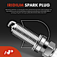APIC0826 8-Piece Kit Ignition Coil and Iridium Spark Plug Kits