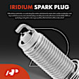 APIC0828 8-Piece Kit Ignition Coil and Iridium Spark Plug Kits