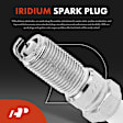 APIC0829 12-Piece Kit Ignition Coil and Iridium Spark Plug Kits
