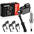 APIC0838PG 6x Ignition Coil & IRIDIUM Spark Plug Kits
