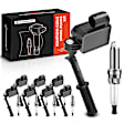 APIC0839PG 16-Piece Kit Ignition Coil and Iridium Spark Plug Kits