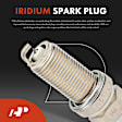 APIC0863 8-Piece Kit Ignition Coil and Iridium Spark Plug Kits