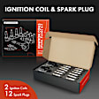 APIC0895 2 Pcs Ignition Coil & 12 Pcs IRIDIUM & Platinum Spark Plug Kit