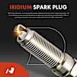 APIC1003 6 Pcs Ignition Coils & 6 Pcs Double Iridium Spark Plug Kits