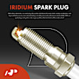 APIC1004 8 Pcs Ignition Coils & 8 Pcs Double Iridium Spark Plug Kits