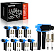 APIC1005 24-Piece Kit Ignition Coils and Double Iridium Spark Plug Kits
