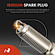 APIC1007 8 Pcs Ignition Coils & 16 Pcs Iridium & Platinum Spark Plug Kits