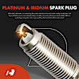 APIC1009 4 Pcs Ignition Coils & 4 Pcs Iridium & Platinum Spark Plug Kits