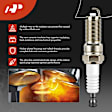 APIC1010 4 Pcs Ignition Coils & 4 Pcs Iridium & Platinum Spark Plug Kits