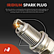 APIC1011 8 Pcs Ignition Coils & 8 Pcs Double Iridium Spark Plug Kits