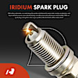 APIC1015 24-Piece Kit Ignition Coils and Double Iridium Spark Plug Kits