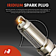 APIC1016 4 Pcs Ignition Coils & 4 Pcs Iridium Spark Plug Kits