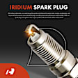 APIC1017 8 Pcs Ignition Coils & 8 Pcs Double Iridium Spark Plug Kits