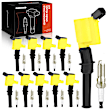 APIC1025 20-Piece Kit Ignition Coils and Double Iridium Spark Plug Kits