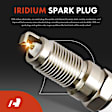 APIC1026 8 Pcs Ignition Coils & 8 Pcs Double Iridium Spark Plug Kits