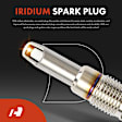 APIC1027 8 Pcs Ignition Coils & 8 Pcs Platinum Spark Plug Kits