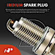 APIC1095 6 Pcs Ignition Coils & 6 Pcs Double Iridium Spark Plug Kits