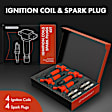 APIC1120 4 Pcs Ignition Coils & 4 Pcs Double Iridium Spark Plug Kits