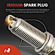 APIC1121 4 Pcs Ignition Coils & 4 Pcs Double Iridium Spark Plug Kits