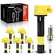 APIC1128 6 Pcs Ignition Coils & 6 Pcs Double Iridium Spark Plug Kits