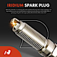 APIC1191 8 Pcs Ignition Coils & 8 Pcs Double Iridium Spark Plug Kits