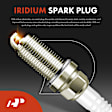 APIC1194 8 Pcs Ignition Coils & 8 Pcs Double Iridium Spark Plug Kits