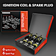 APIC1200 6 Pcs Ignition Coils & 6 Pcs Double Iridium Spark Plug Kits