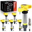 APIC1209 6 Pcs Ignition Coils & 6 Pcs Iridium & Platinum Spark Plugs Kits