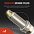 APIC1211 4 Pcs Ignition Coils & 4 Pcs Iridium & Platinum Spark Plug Kits