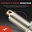 APIC1233 4 Pcs Ignition Coils & 4 Pcs Platinum & Iridium Spark Plugs