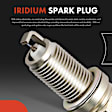 APIC1346 24-Piece Kit Ignition Coils and Iridium Spark Plugs and Wires