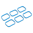 APIMG519 Fuel Injection Plenum Gasket Set