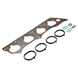APIMG541PG and Engine Intake Manifold Gasket Set
