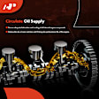 APOIP255 Engine Oil Pump
