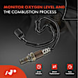 APOS0002 Upstream O2 Oxygen Sensor