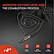 APOS0003 Upstream O2 Oxygen Sensor