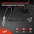 APOS0018 Upstream Downstream O2 Oxygen Sensor