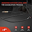 APOS0024 Downstream O2 Oxygen Sensor