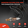 APOS0025 Upstream O2 Oxygen Sensor