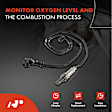 APOS0029 Downstream O2 Oxygen Sensor