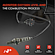 APOS0031 Upstream Downstream O2 Oxygen Sensor