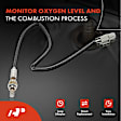 APOS0038 Upstream O2 Oxygen Sensor