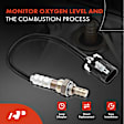 APOS0040C Upstream O2 Oxygen Sensor