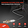 APOS0041 Upstream O2 Oxygen Sensor