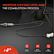 APOS0045 Downstream O2 Oxygen Sensor