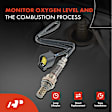 APOS0047 Upstream O2 Oxygen Sensor