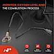 APOS0059 Upstream O2 Oxygen Sensor